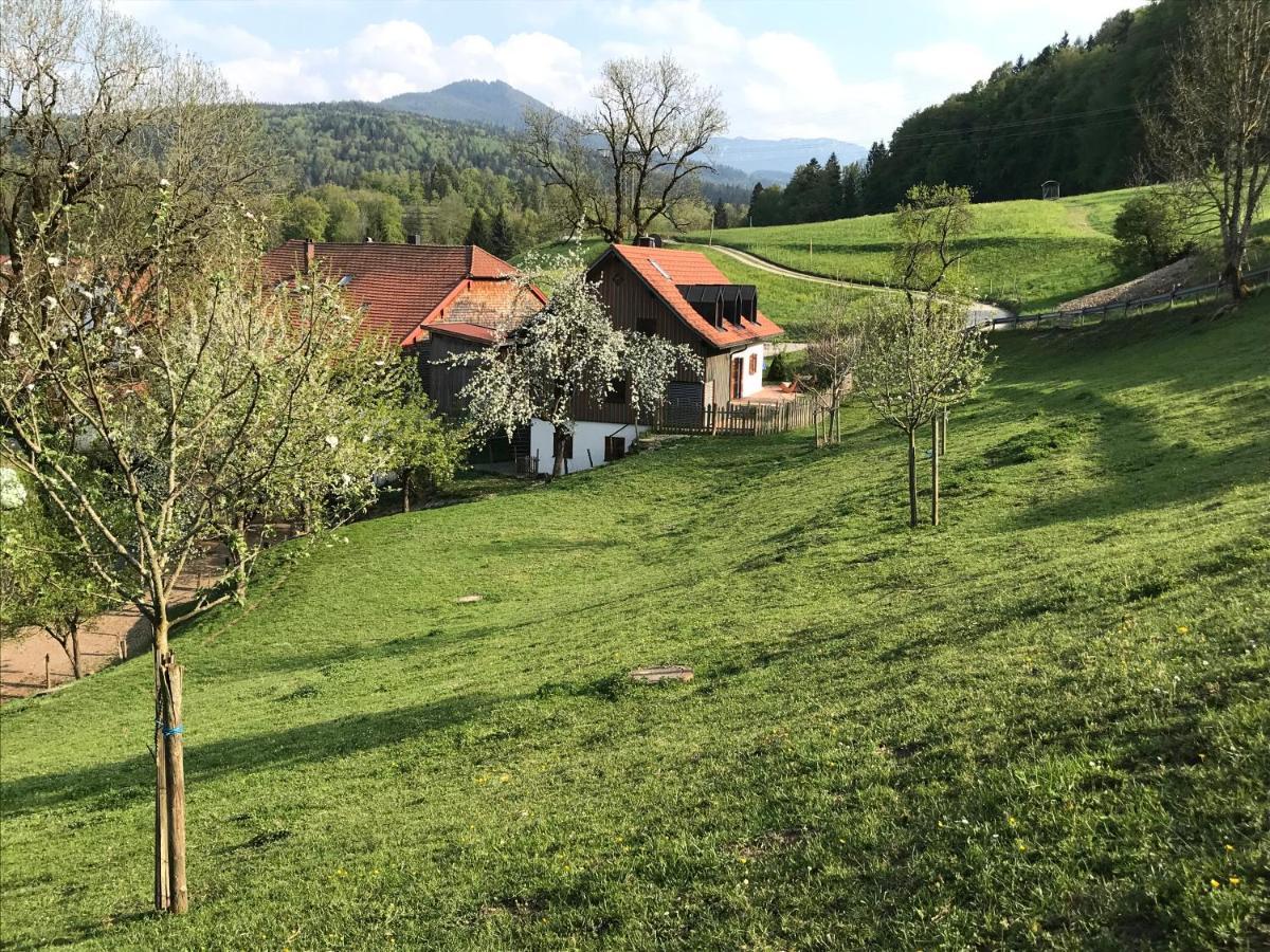 Pension Ober Siegsdorf Extérieur photo