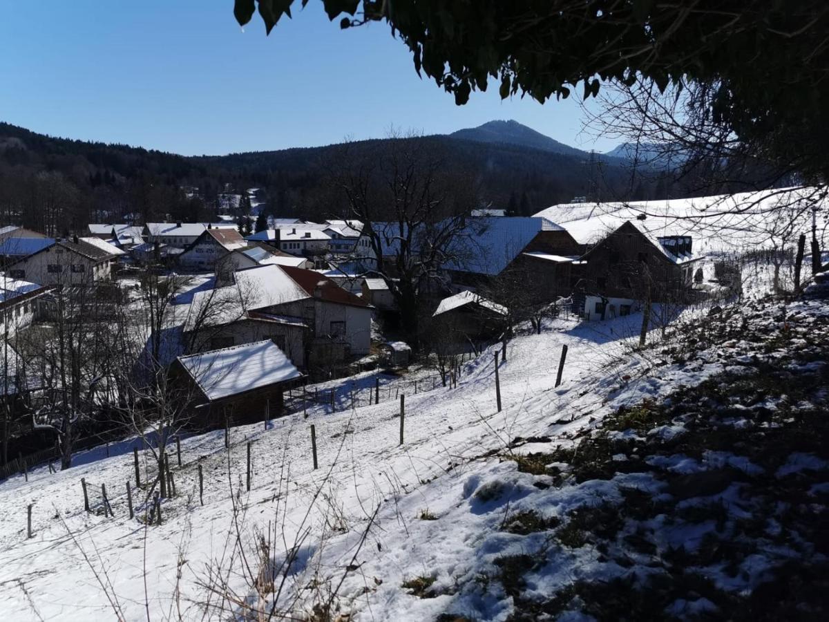 Pension Ober Siegsdorf Extérieur photo