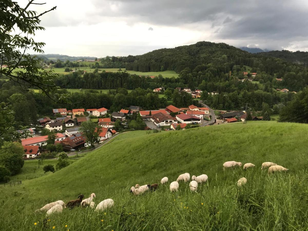 Pension Ober Siegsdorf Extérieur photo