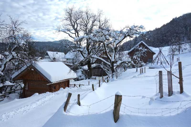 Pension Ober Siegsdorf Extérieur photo